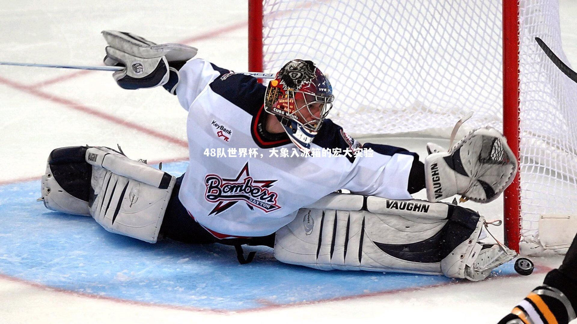 48队世界杯,大象入冰箱的宏大实验